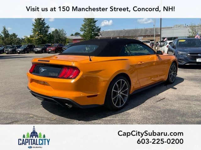 Used 2019 Ford Mustang Premium w/ Equipment Group 201A RWD image 7