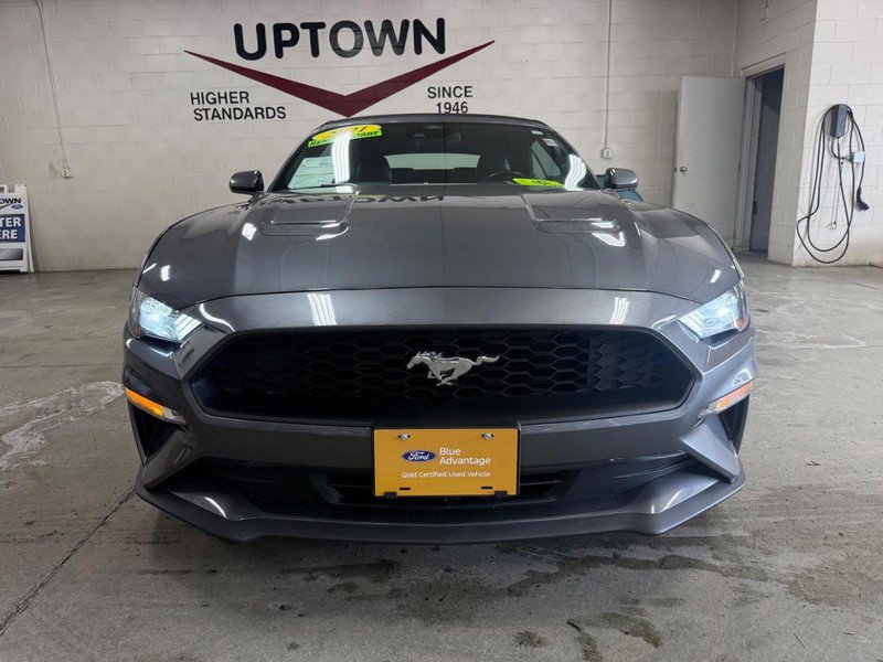 Certified 2021 Ford Mustang Premium image 12