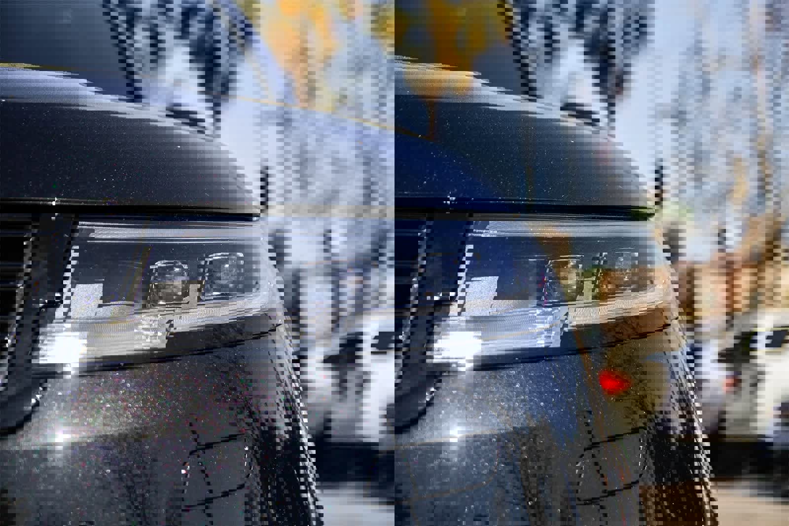 New 2026 Land Rover Range Rover Sport SE image 10