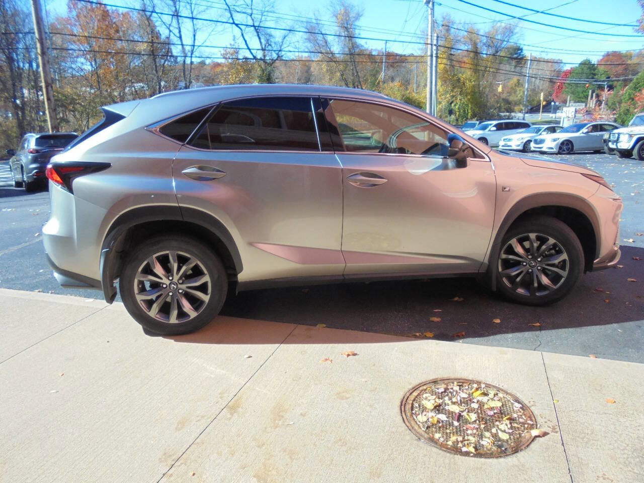 Used 2020 Lexus NX 300 F Sport image 4
