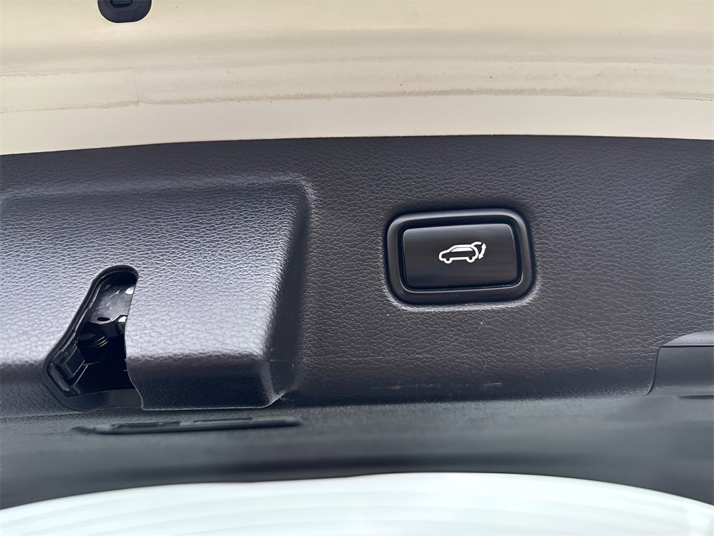 Used 2020 Kia Telluride SX w/ SX Prestige Package image 19