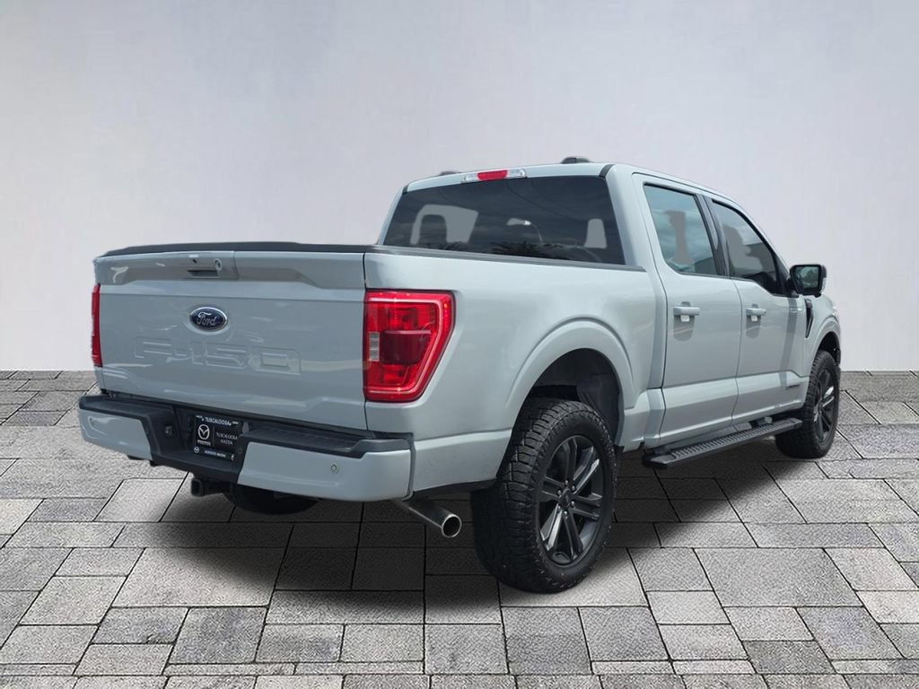 Used 2023 Ford F150 XLT w/ Equipment Group 302A High AWD/4WD image 7