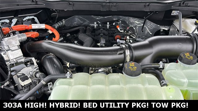 New 2025 Ford F150 XLT w/ Equipment Group 303A High image 34