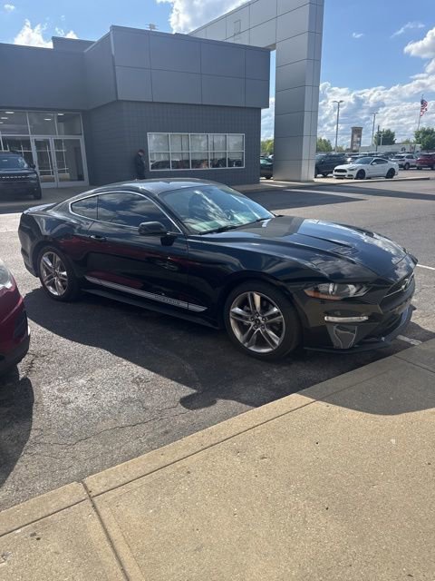 Used 2019 Ford Mustang Premium w/ Equipment Group 201A