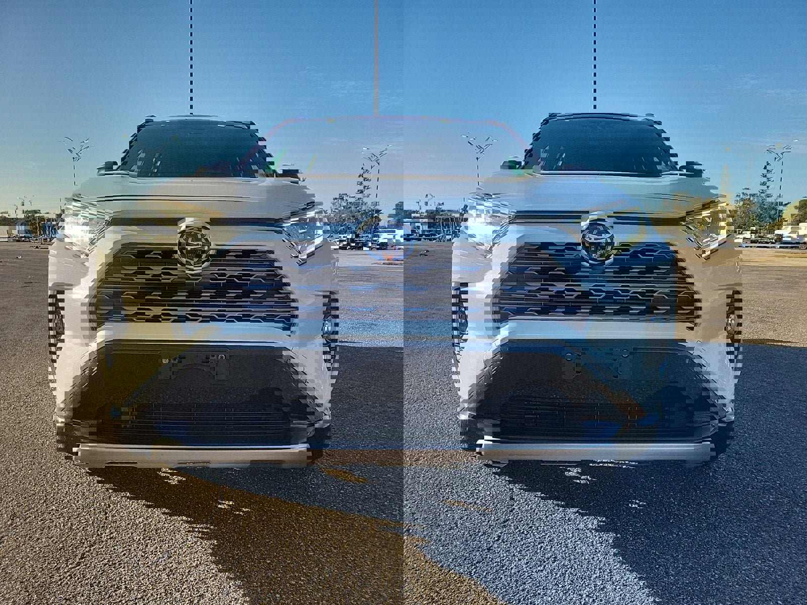 Used 2019 Toyota RAV4 XSE image 3