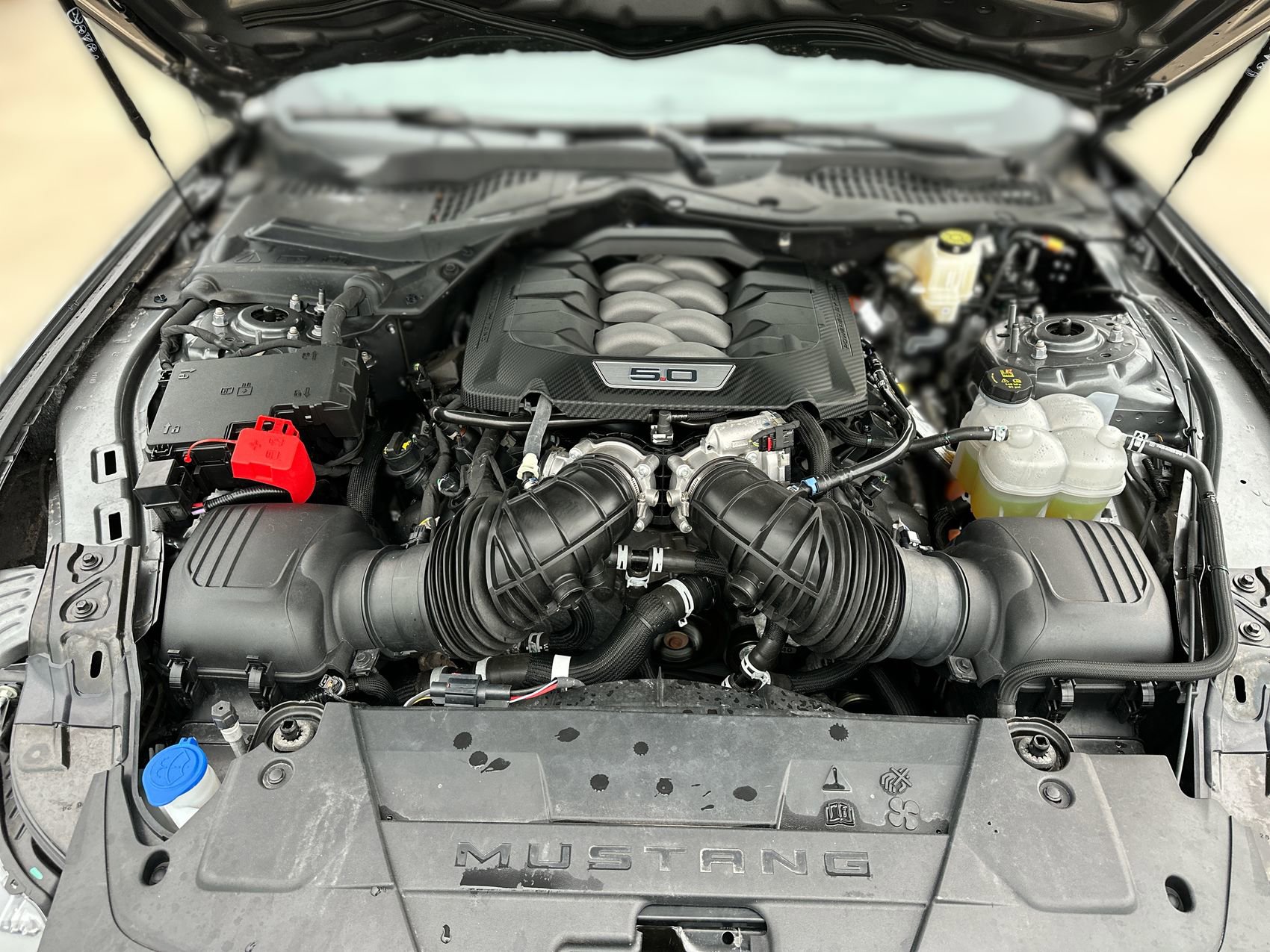Used 2024 Ford Mustang GT RWD image 23