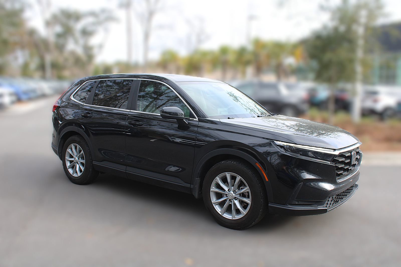 Used 2025 Honda CR-V EX-L image 15