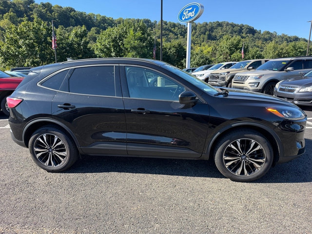Used 2022 Ford Escape SEL w/ SEL Stealth AWD Package image 10