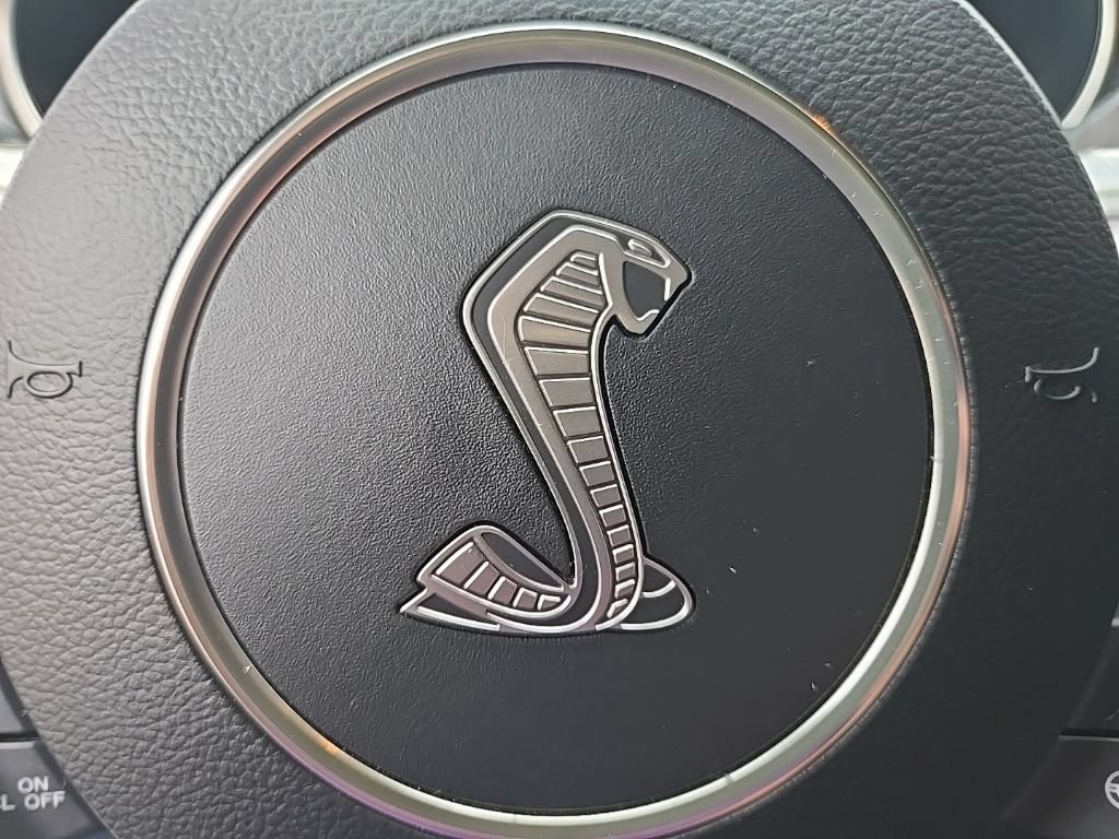 Used 2019 Ford Mustang Shelby GT350 w/ Technology Package RWD image 86