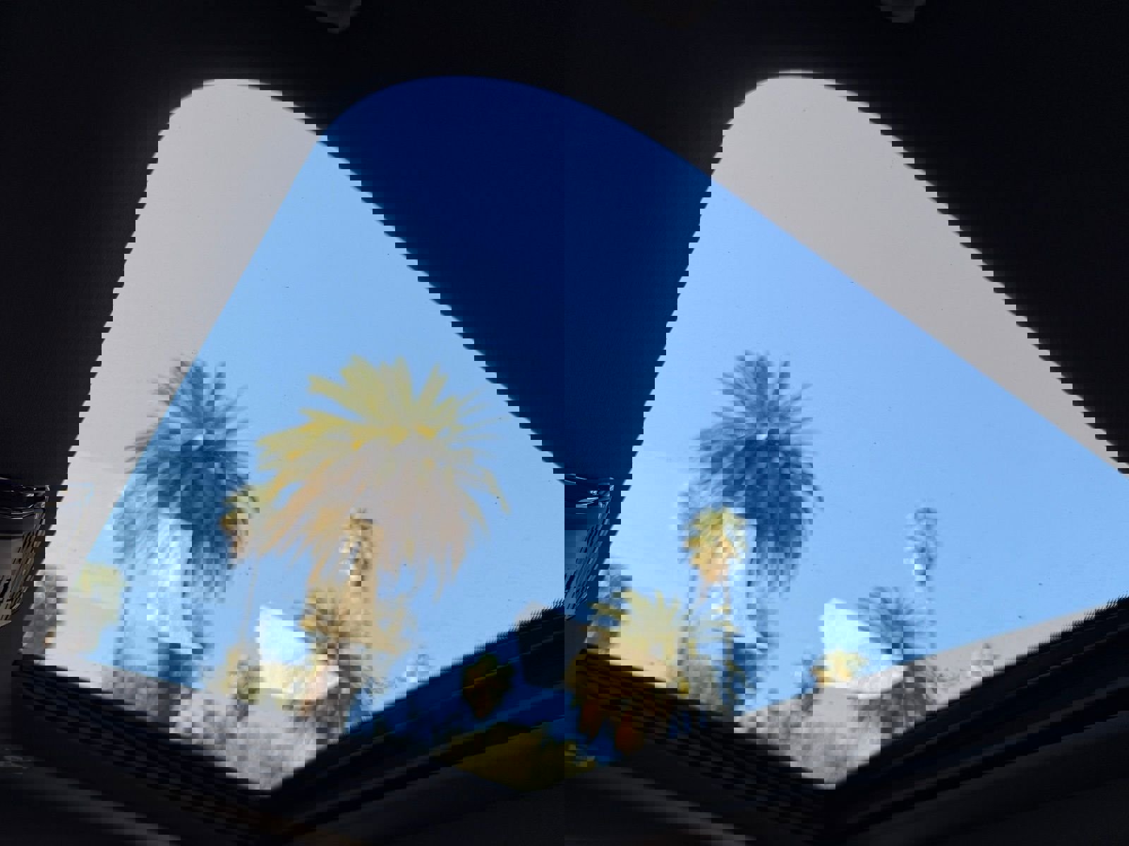 New 2026 BMW 230i Coupe w/ Premium Package image 20