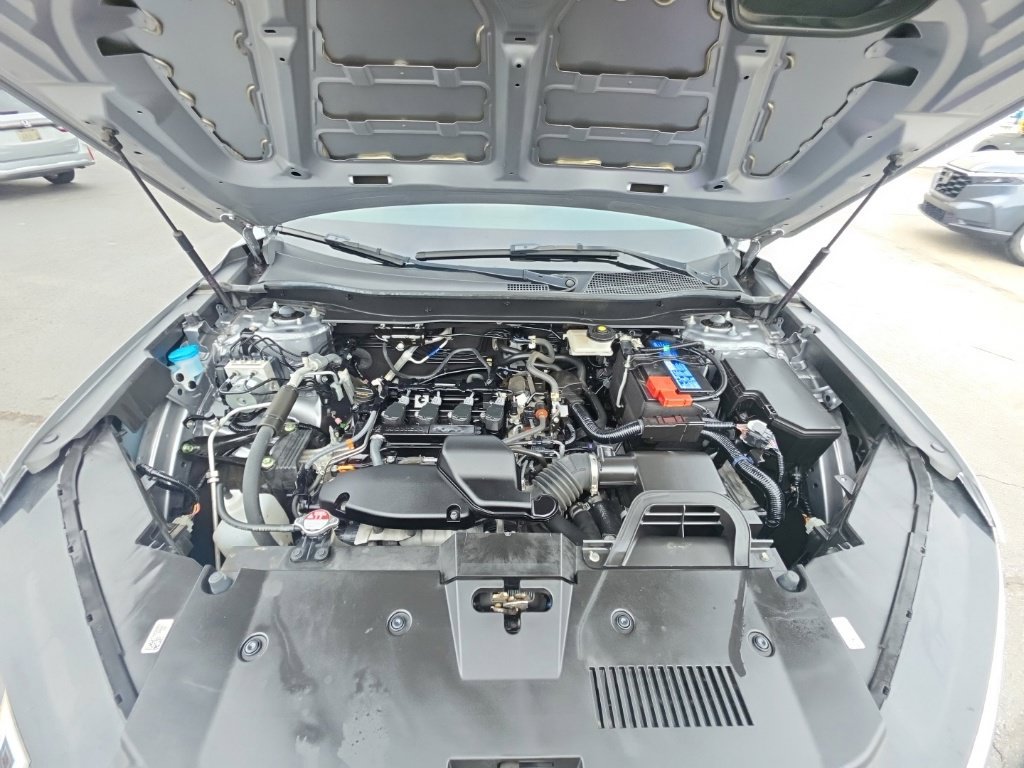 Certified 2024 Honda CR-V EX-L image 11