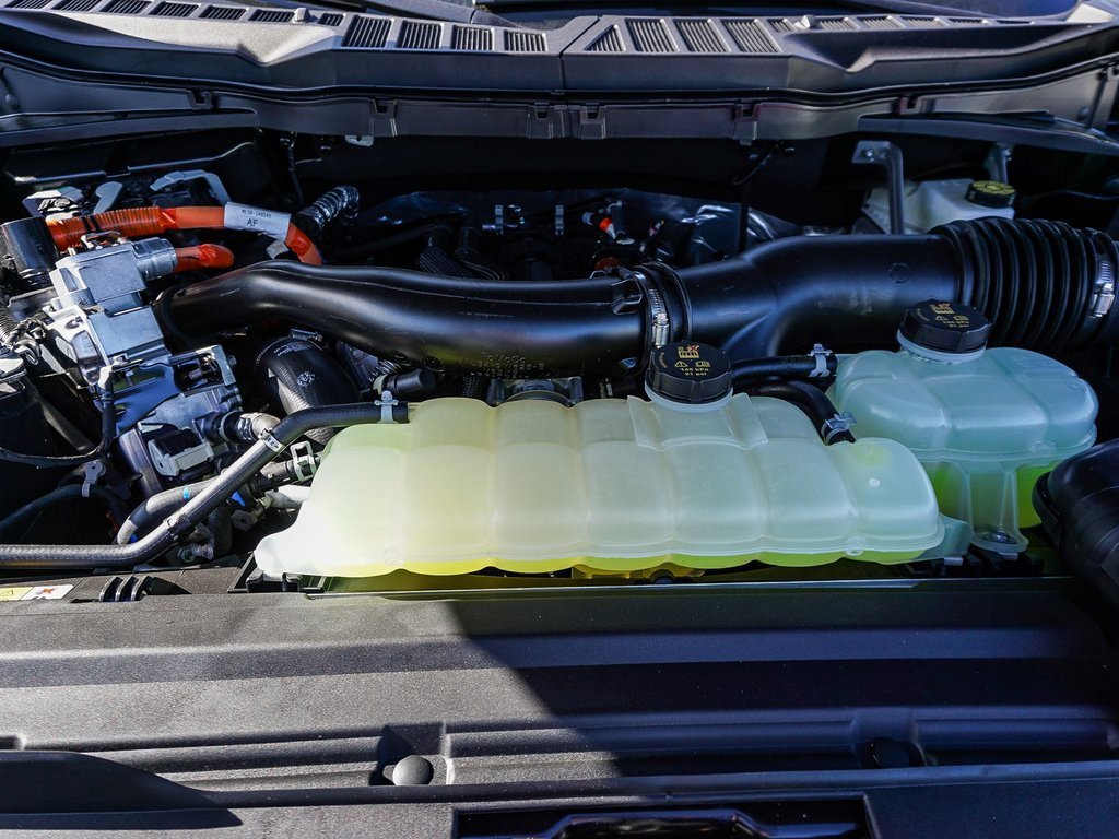 New 2025 Ford F150 XLT w/ Equipment Group 302A MID image 25