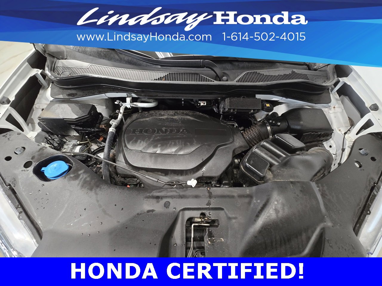 Certified 2023 Honda Passport EX-L image 23