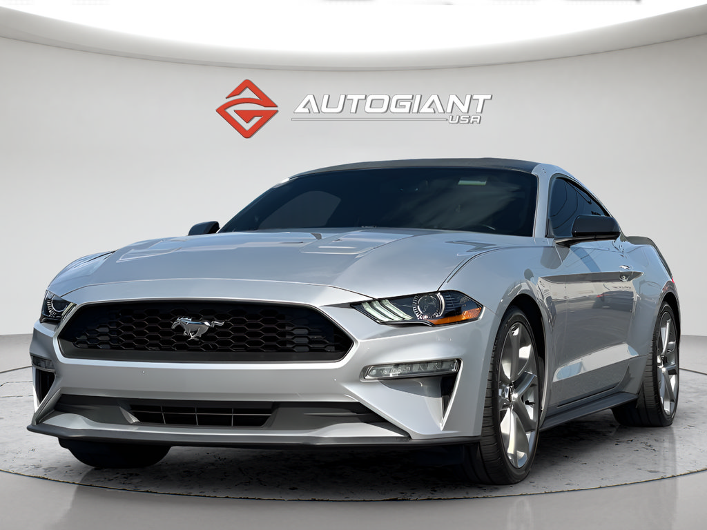 Used 2019 Ford Mustang Coupe RWD image 13