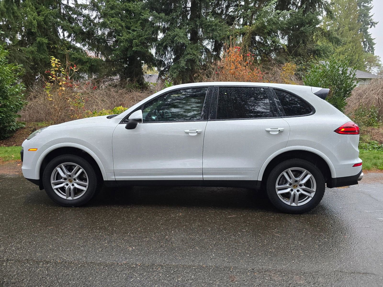 Used 2017 Porsche Cayenne Platinum Edition image 2
