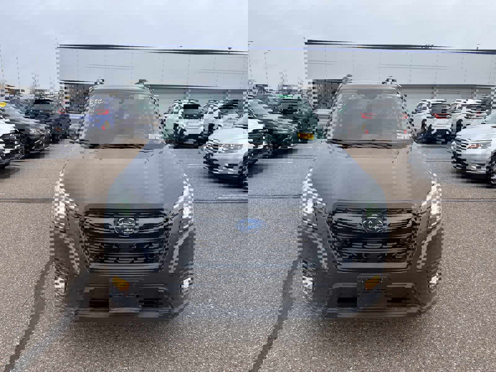 Used 2023 Subaru Forester Limited image 10