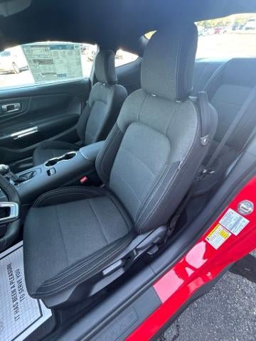 New 2026 Ford Mustang Coupe w/ Mustang Nite Pony Package RWD image 25