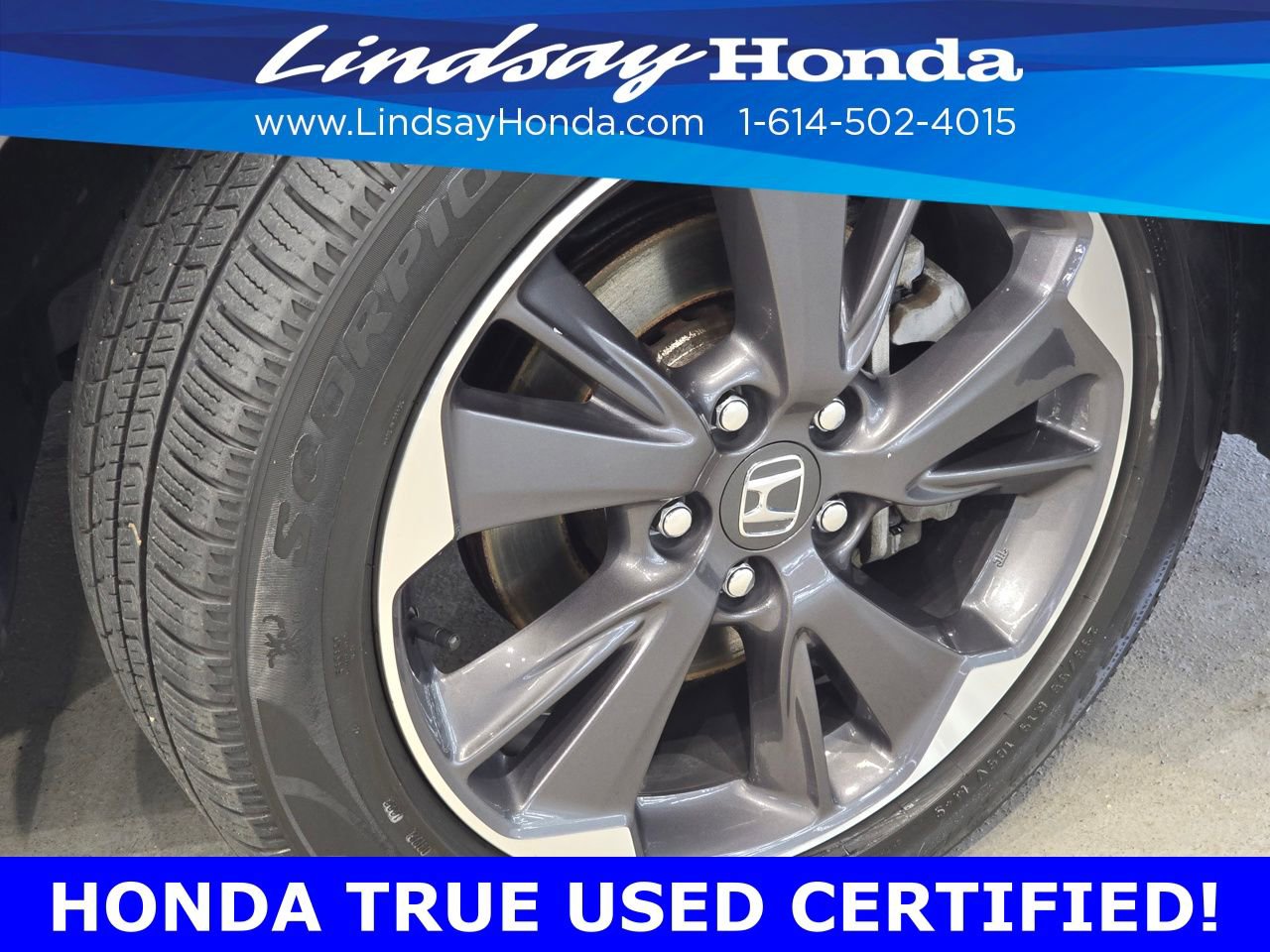 Certified 2022 Honda Odyssey Elite image 24