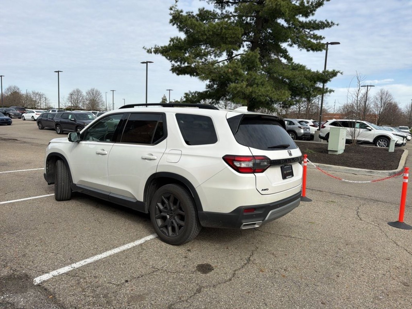 Used 2024 Honda Pilot Elite image 15