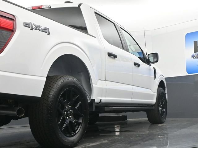 New 2025 Ford F150 STX w/ STX Black Appearance Package image 19