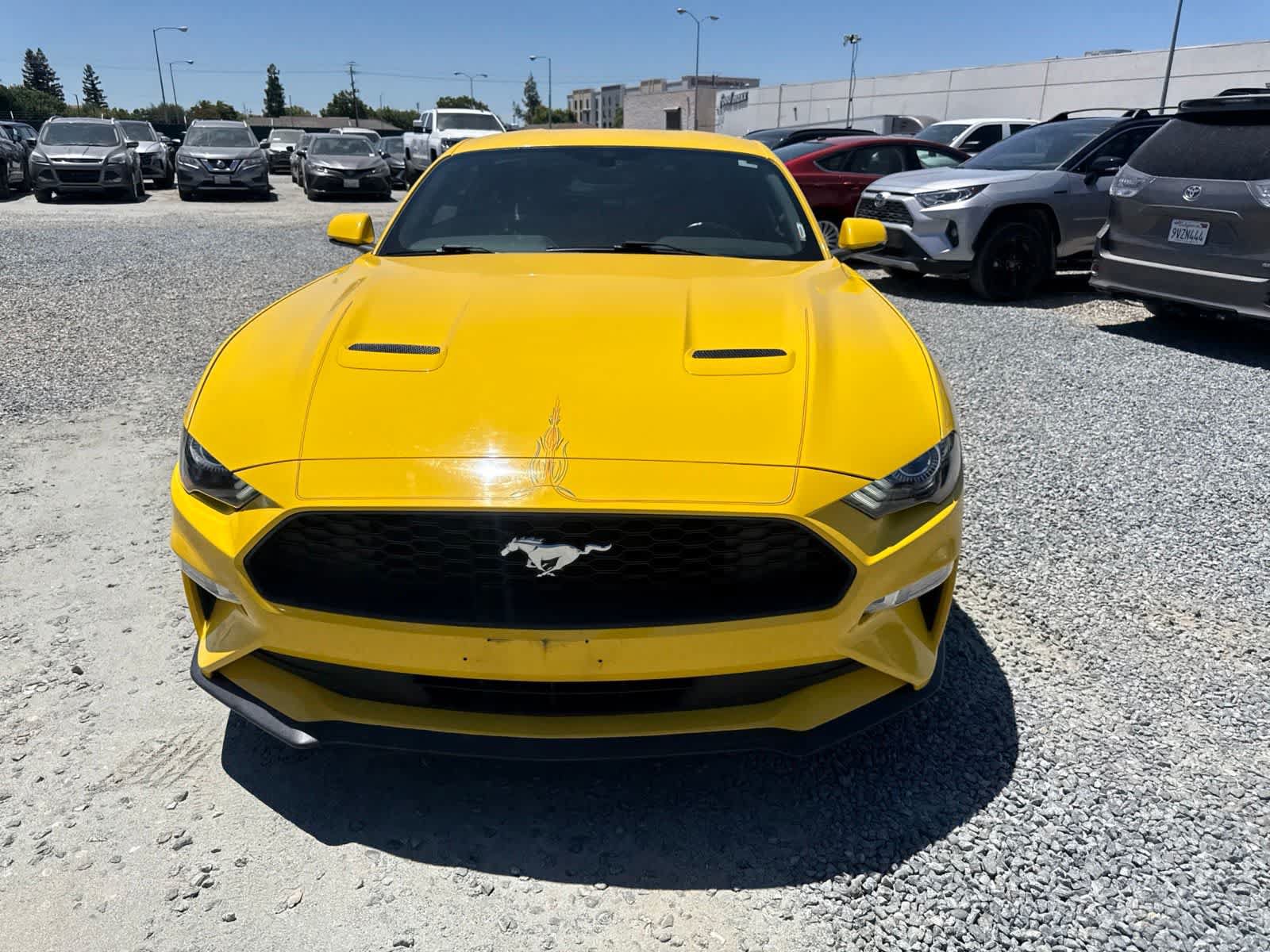 Used 2018 Ford Mustang Premium w/ Equipment Group 201A RWD image 2