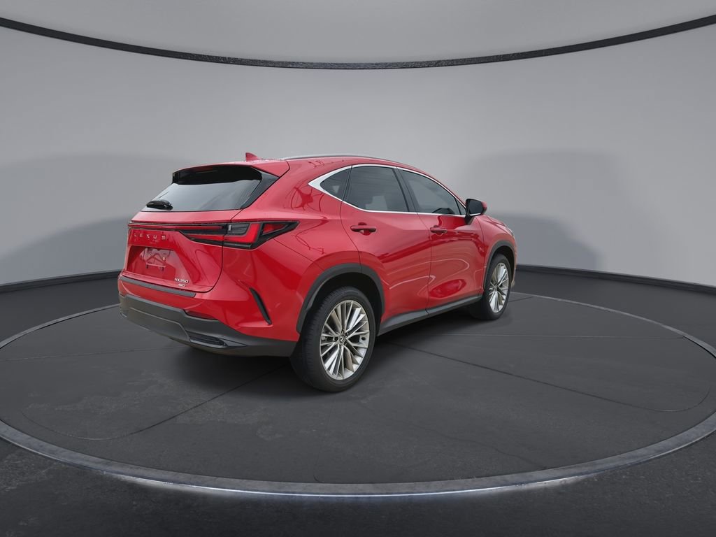 Used 2025 Lexus NX 350 AWD w/ Cold Area Package image 8