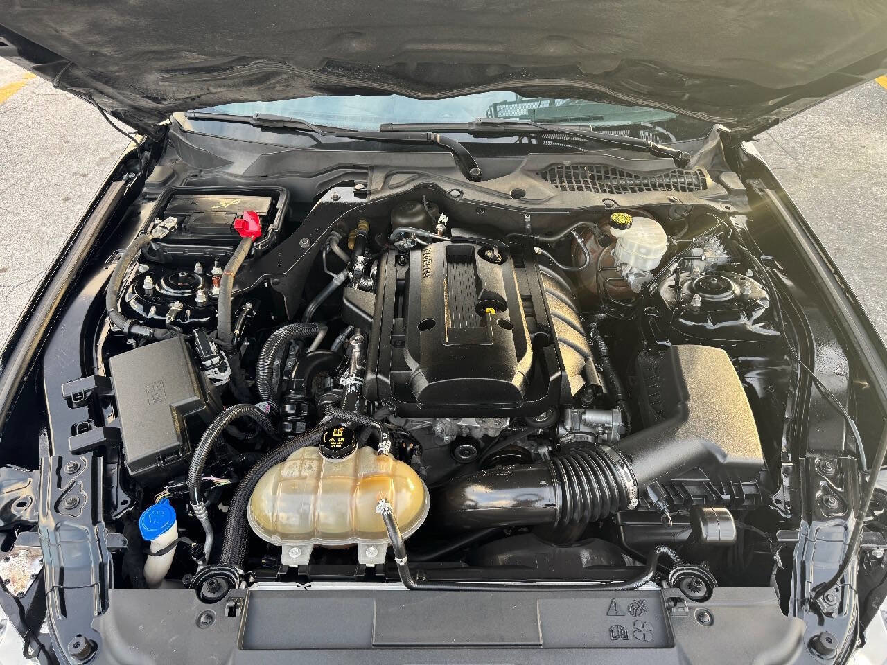 Used 2020 Ford Mustang Premium image 19