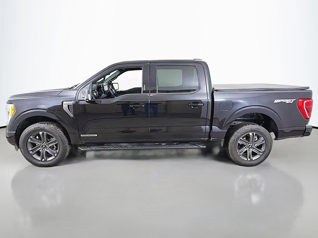 Used 2023 Ford F150 XLT w/ Equipment Group 302A High image 13
