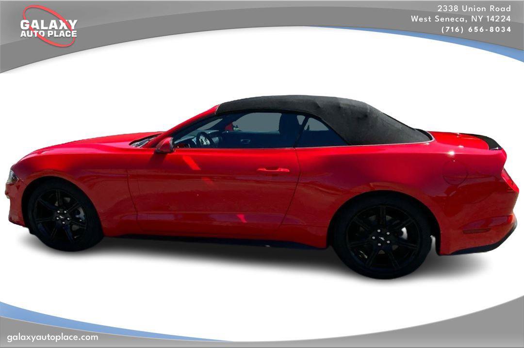 Used 2019 Ford Mustang Convertible w/ Equipment Group 101A RWD image 8