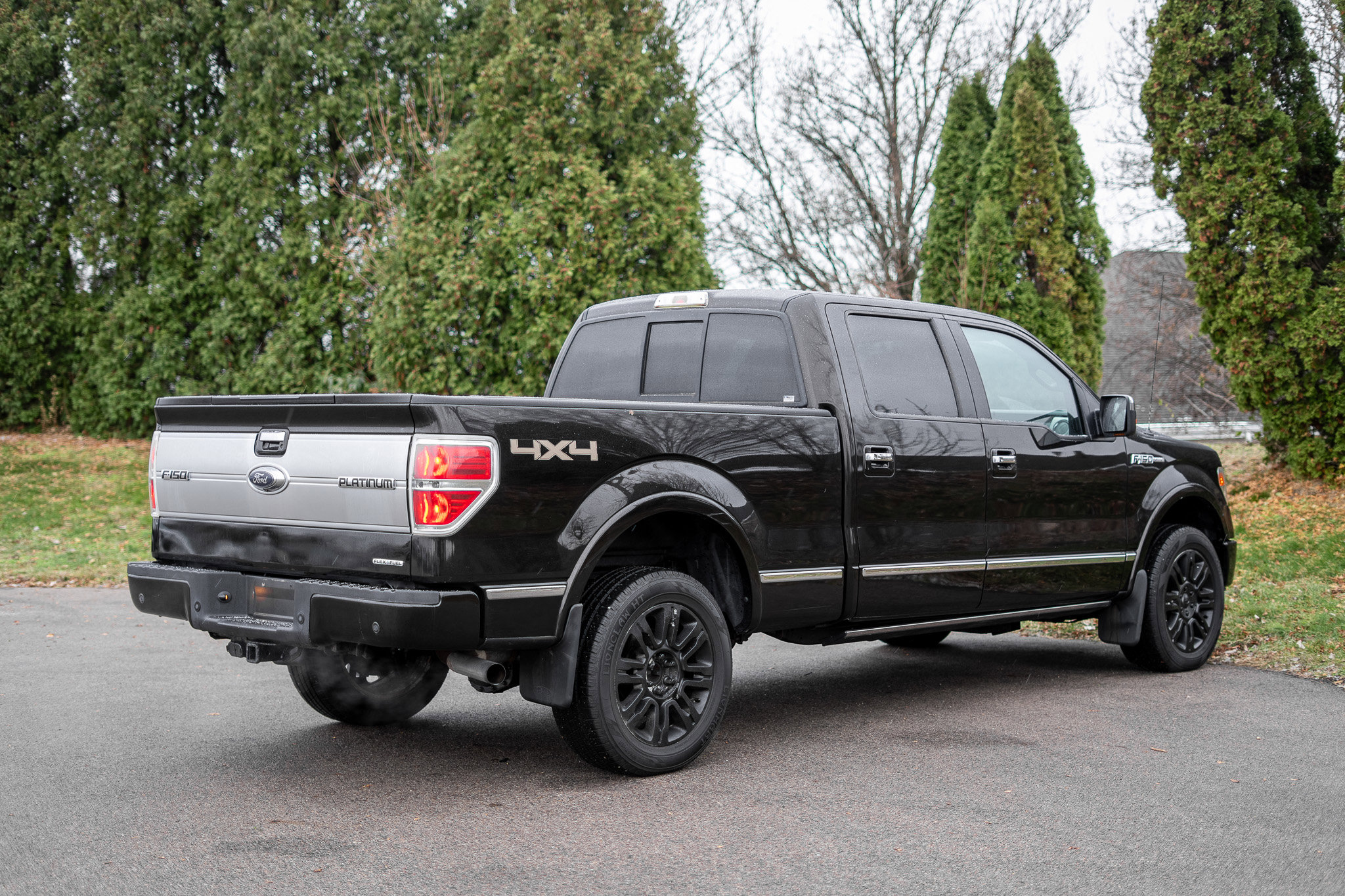 Used 2014 Ford F150 Platinum image 5