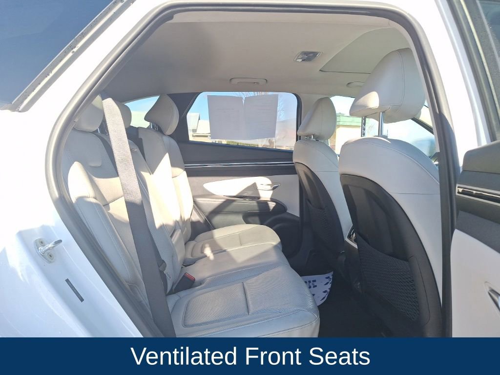 Used 2022 Hyundai Tucson SEL w/ Convenience + Premium Package image 14