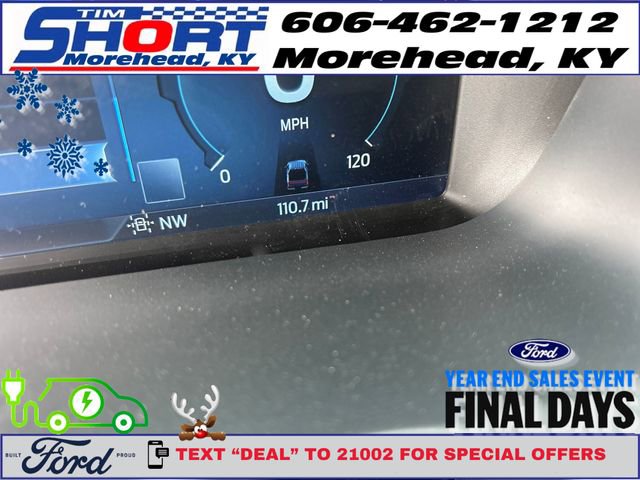 New 2025 Ford F150 Lightning Platinum image 22