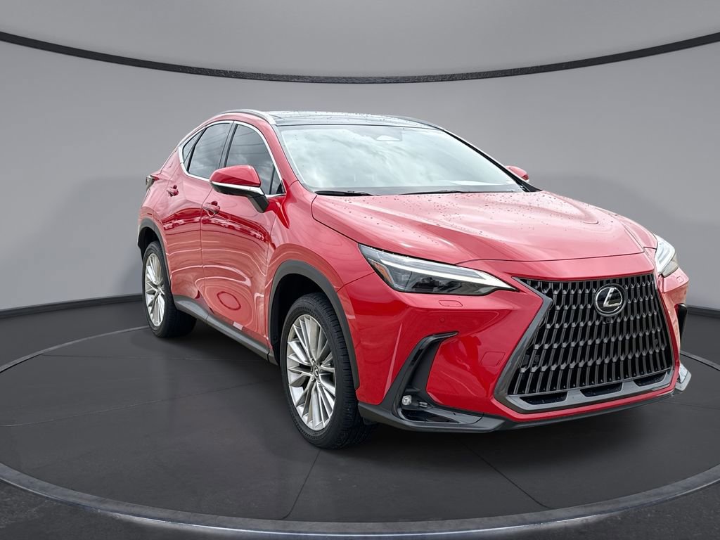 Used 2025 Lexus NX 350 AWD w/ Cold Area Package image 12
