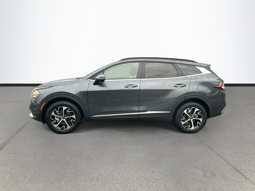 Used 2025 Kia Sportage EX w/ EX Premium Package AWD/4WD image 4
