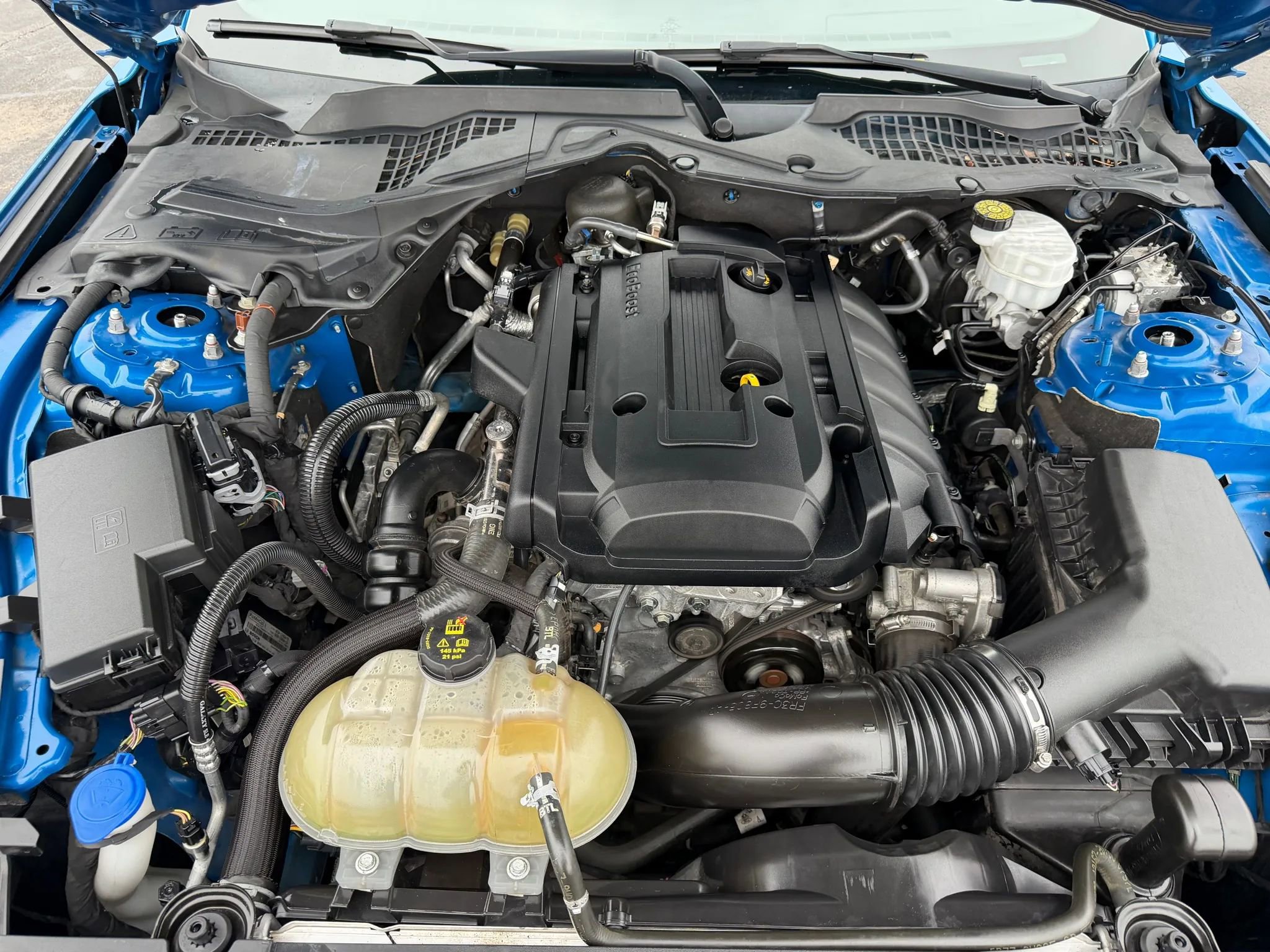 Used 2020 Ford Mustang Coupe image 38