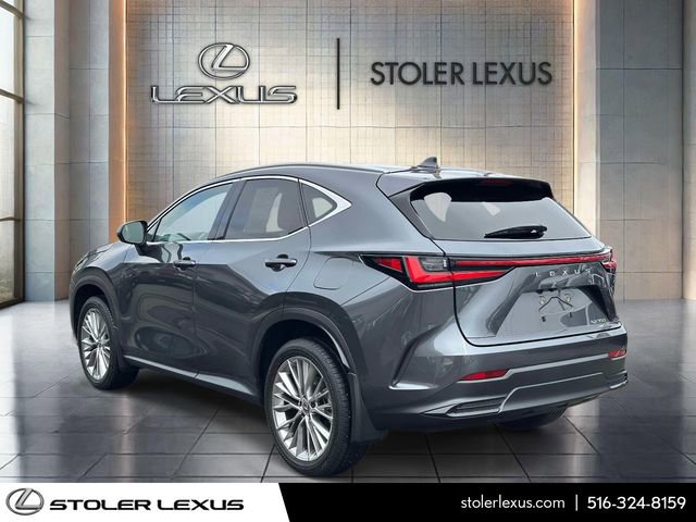 Used 2025 Lexus NX 350 AWD w/ Accessory Package (2T) image 6