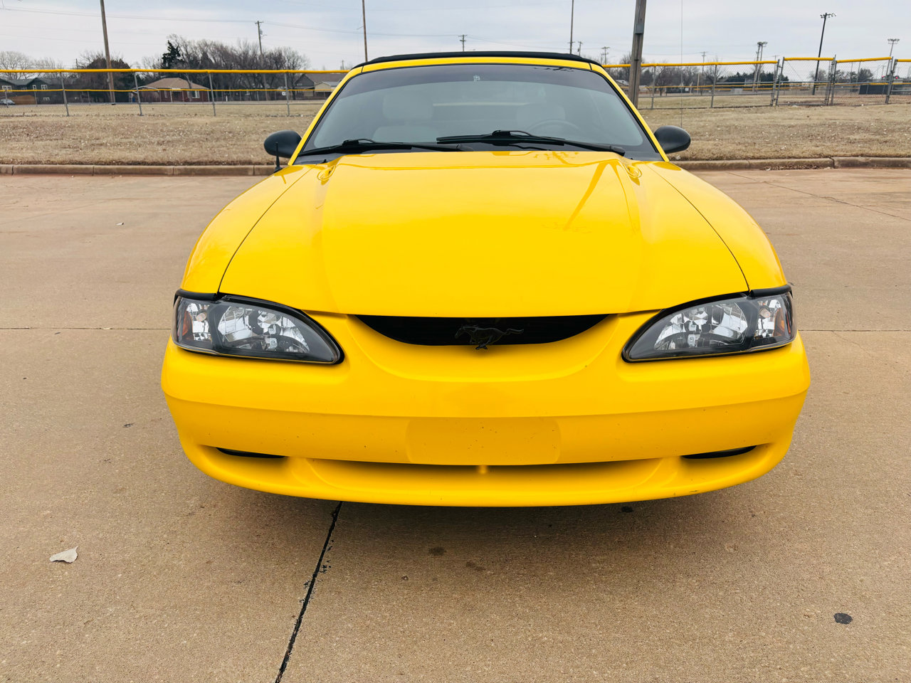 Used 1995 Ford Mustang GT RWD image 5