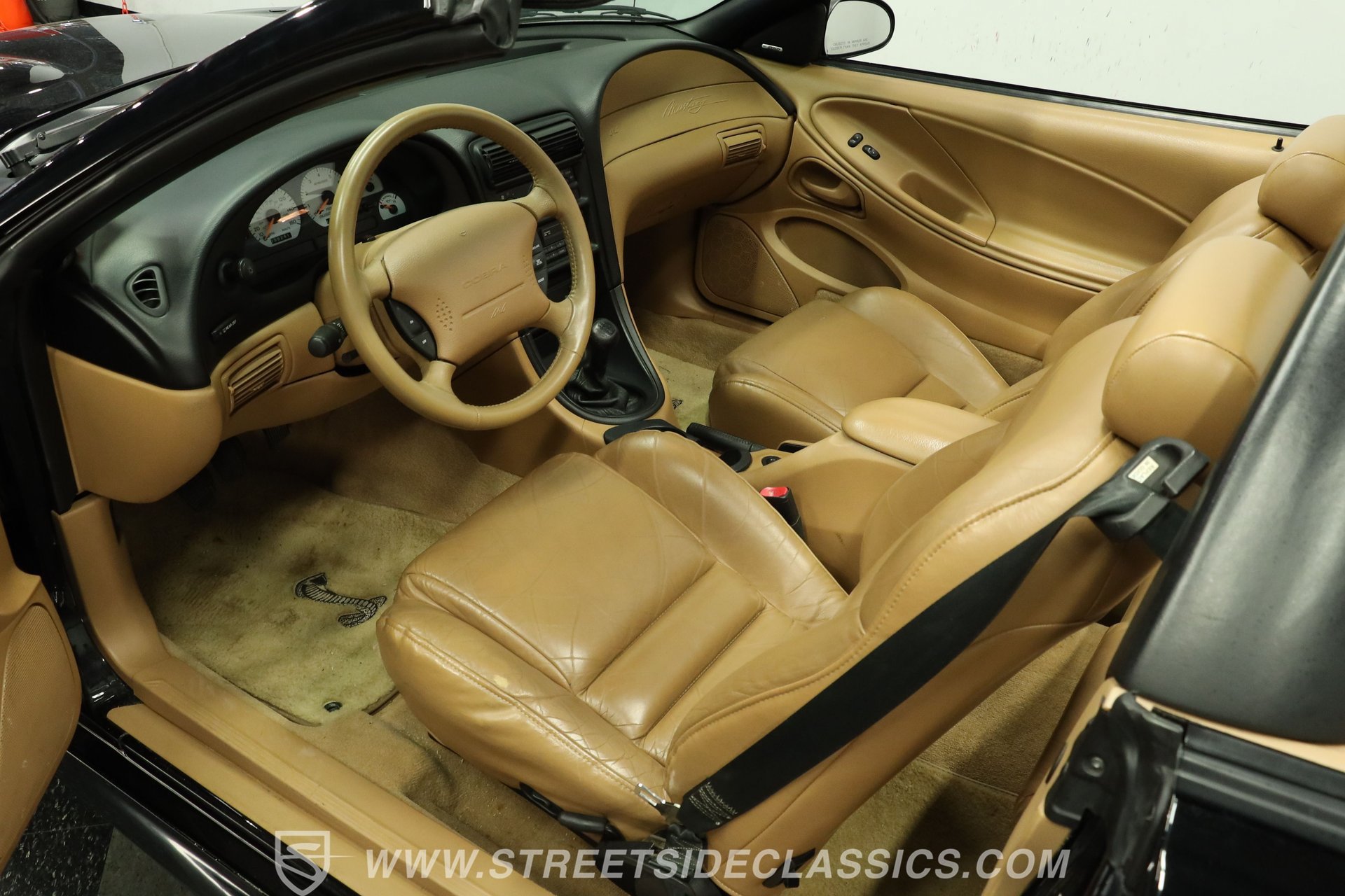 Used 1998 Ford Mustang Cobra RWD image 4