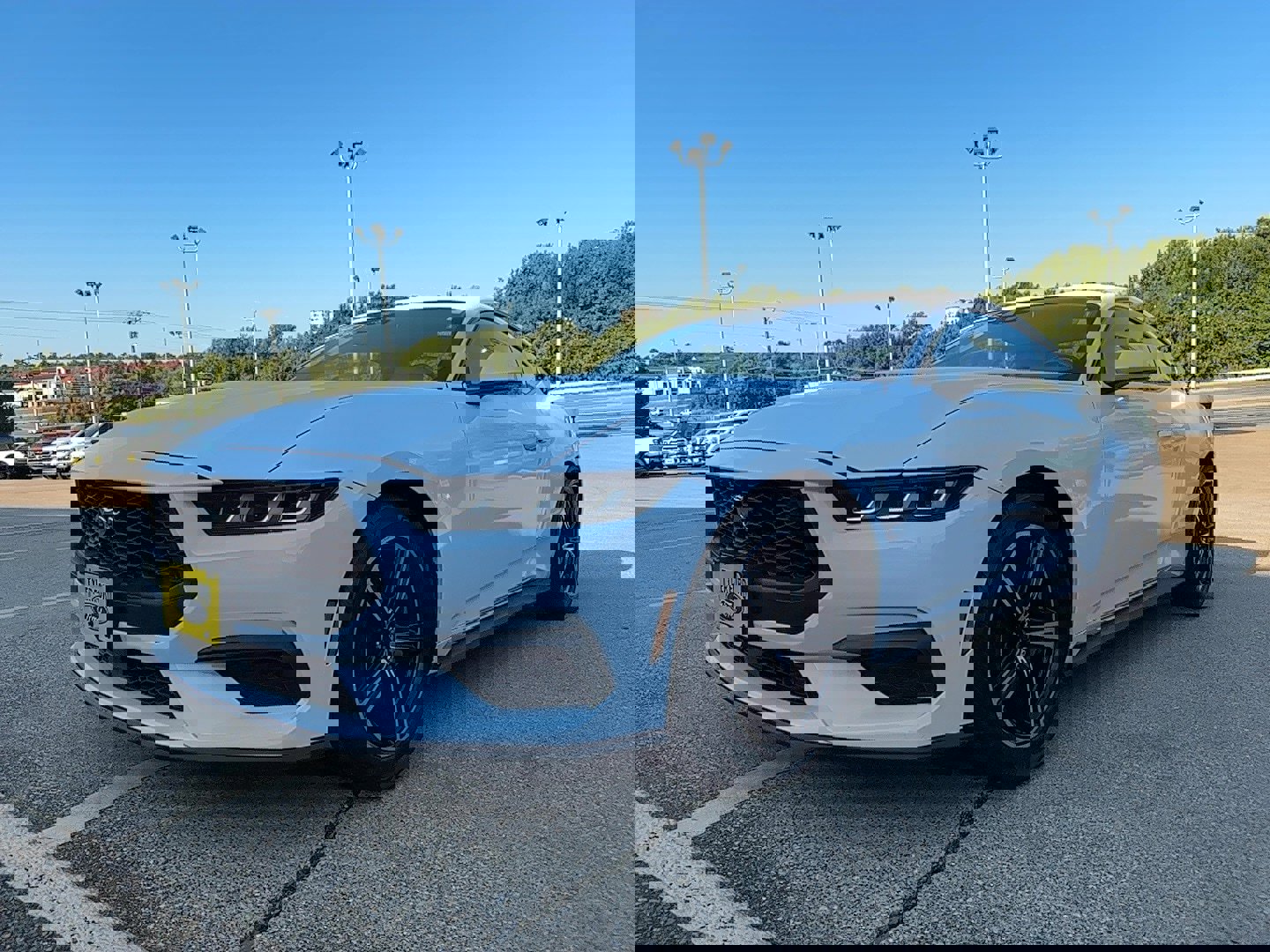 Used 2024 Ford Mustang Premium image 4