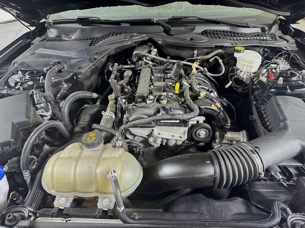 Used 2021 Ford Mustang EcoBoost image 27