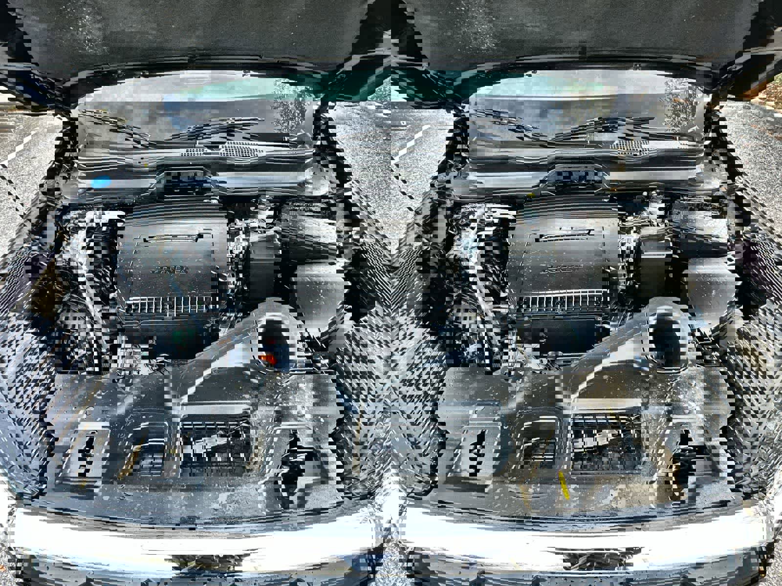 Used 2025 Honda Pilot EX-L image 13