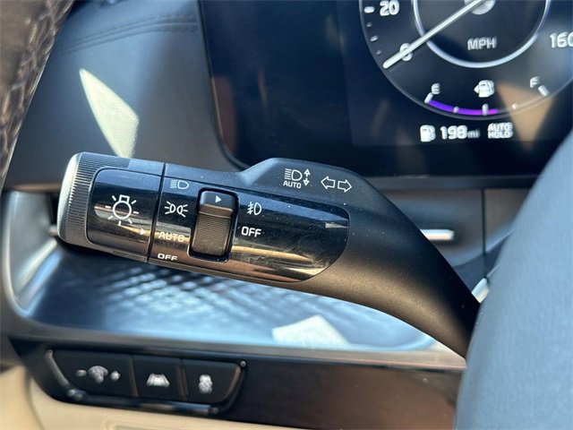 Used 2024 Kia Carnival SX Prestige image 27