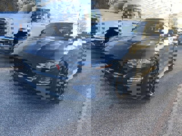 Used 2023 Ford Mustang GT Premium w/ Equipment Group 401A image 3