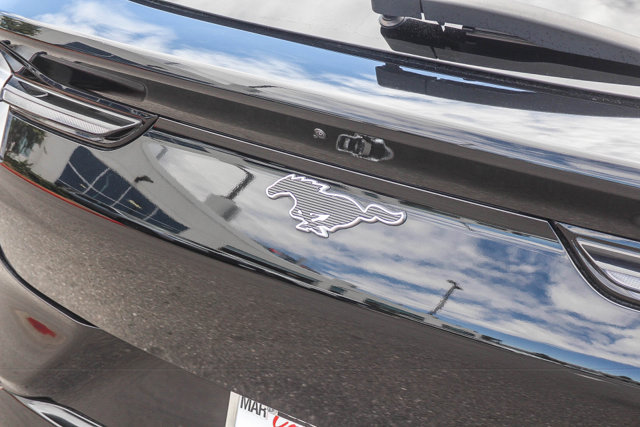 Used 2021 Ford Mustang Mach-E Premium RWD image 9