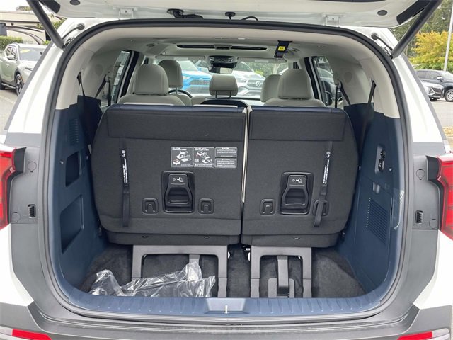 New 2026 Kia Carnival SX image 19