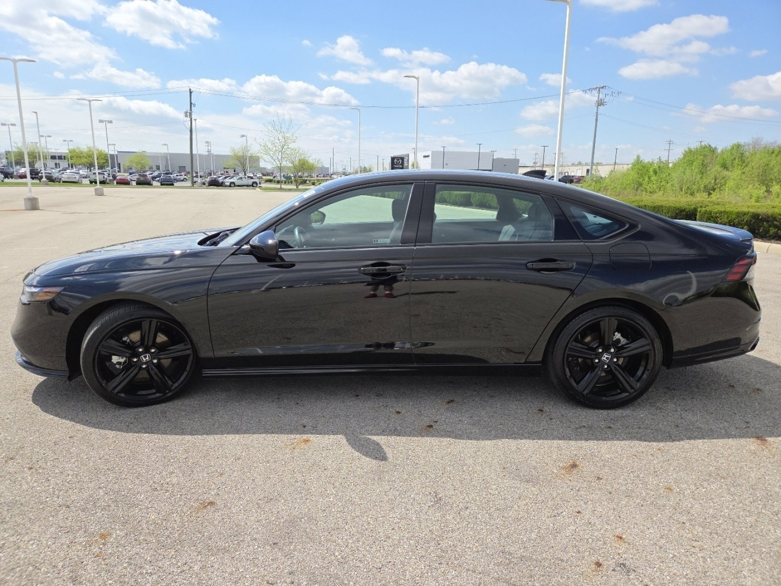 Used 2023 Honda Accord Sport image 14