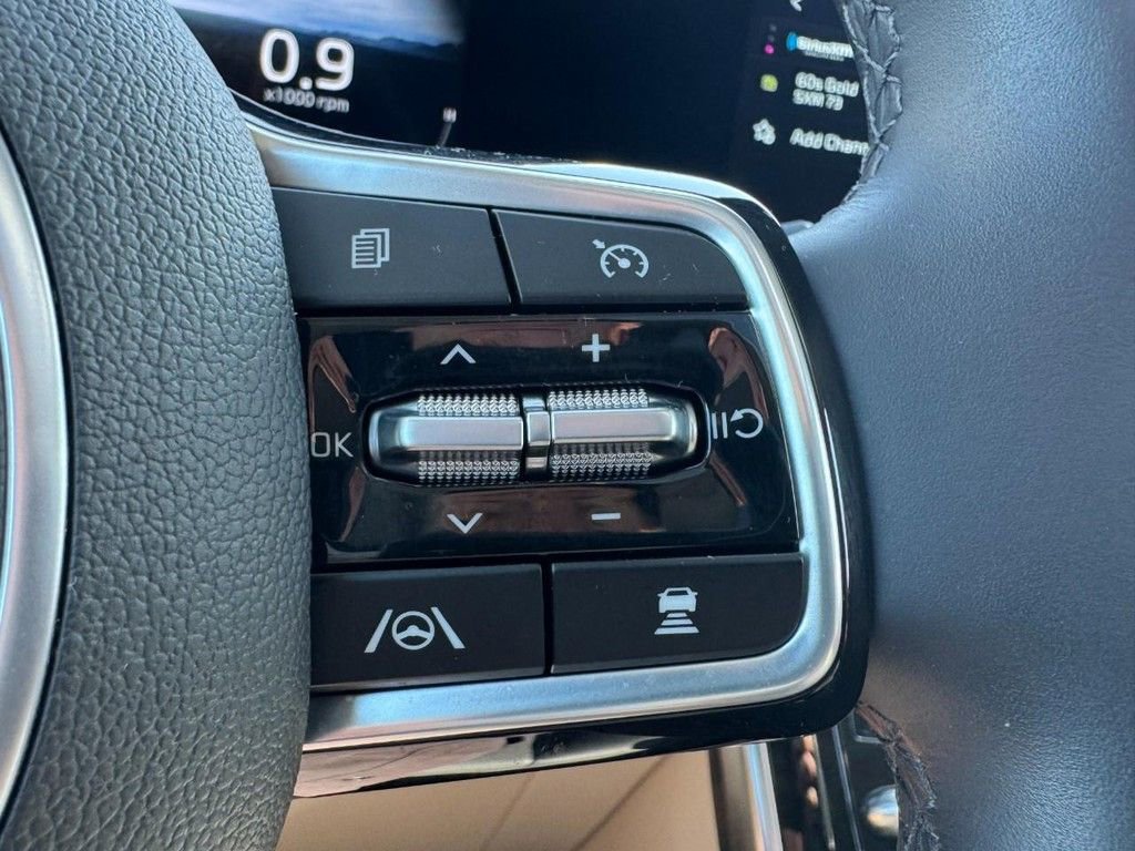 Used 2024 Kia Carnival SX Prestige image 20