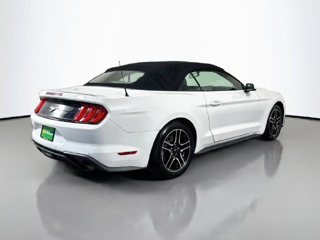 Used 2019 Ford Mustang Premium RWD image 10