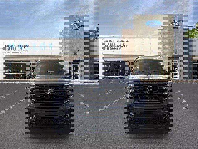 New 2025 Ford Expedition Max Platinum w/ Stealth Performance Package image 25
