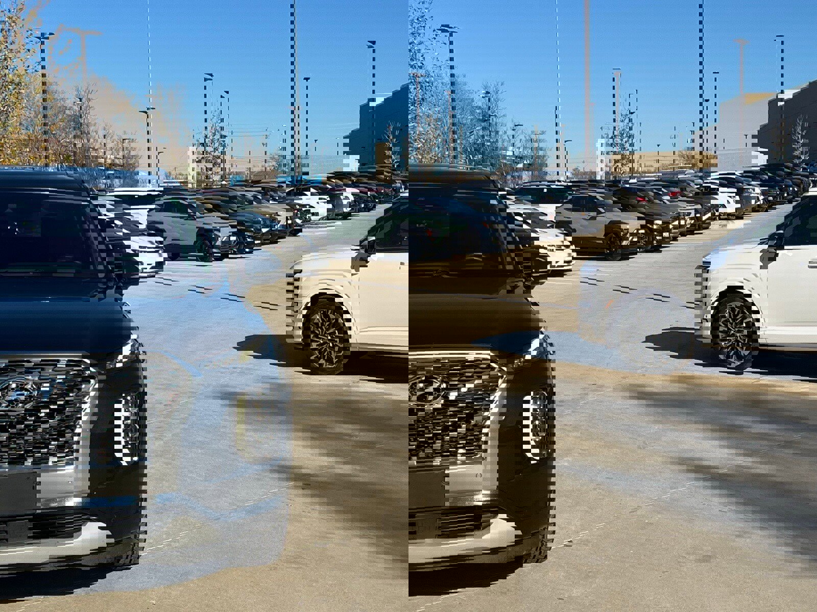 Used 2022 Hyundai Palisade Limited image 3